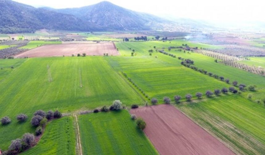 Arsa alacaklar dikkat: Yüzde 25 peşin, 24 ay vade ile satışa çıkacak!